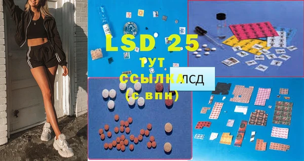 mdpv Заводоуковск