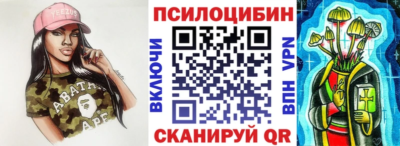 Купить где  Сердобск  Псилоцибиновые грибы Psilocybine cubensis 
